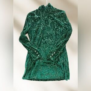 Soft Surroundings green velvet blouse